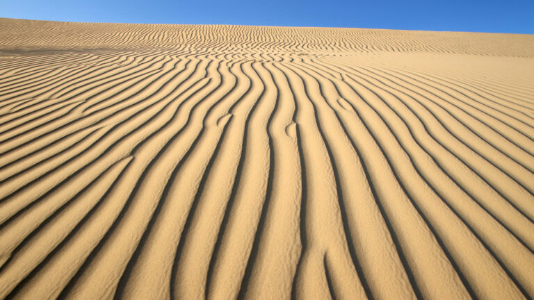 Steeve DUBOIS - In-the-desert